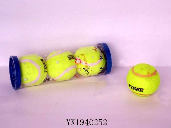 <img src='photo/2010/YX1940252.JPG'width='400' height='300'>