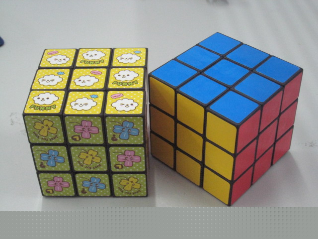 <img src='photo/2010A/YX18084.jpg'width='400' height='300'>