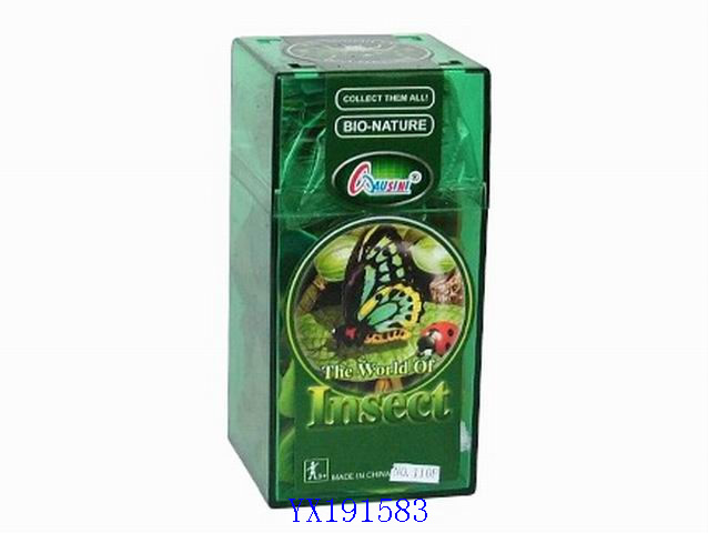<img src='photo/2010A/YX191583.jpg'width='400' height='300'>