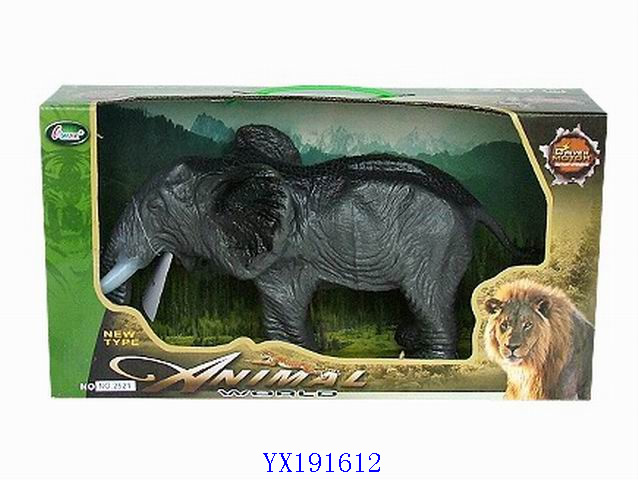 <img src='photo/2010A/YX191612.jpg'width='400' height='300'>