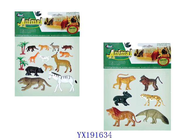 <img src='photo/2010A/YX191634.jpg'width='400' height='300'>