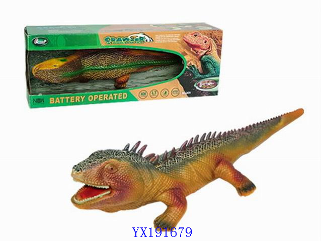 <img src='photo/2010A/YX191679.jpg'width='400' height='300'>
