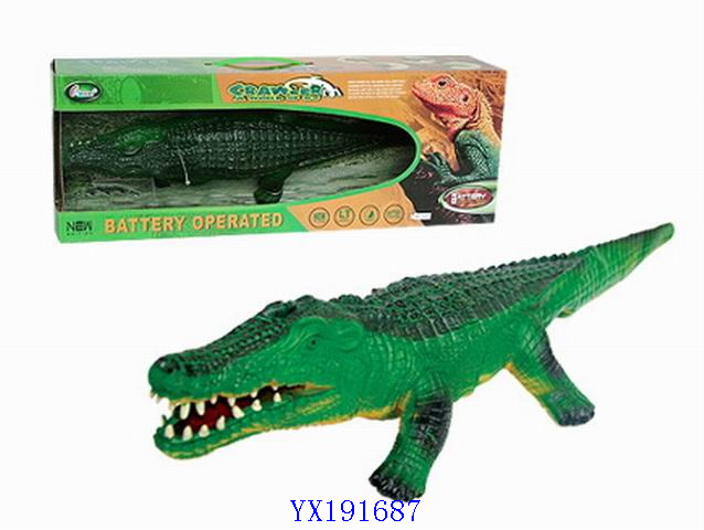 <img src='photo/2010A/YX191687.jpg'width='400' height='300'>