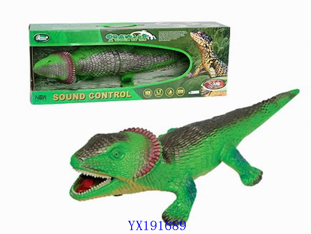 <img src='photo/2010A/YX191689.jpg'width='400' height='300'>