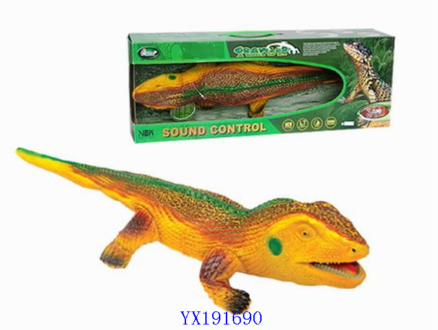 <img src='photo/2010A/YX191690.jpg'width='400' height='300'>