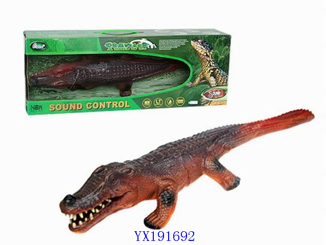 <img src='photo/2010A/YX191692.jpg'width='400' height='300'>