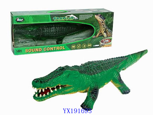 <img src='photo/2010A/YX191693.jpg'width='400' height='300'>