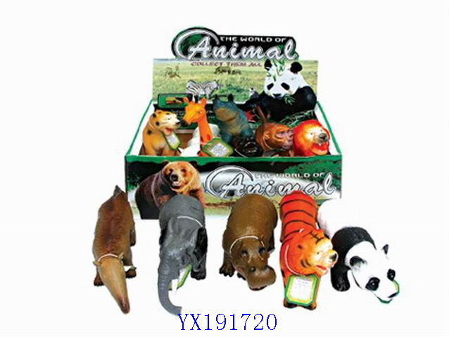 <img src='photo/2010A/YX191720.jpg'width='400' height='300'>