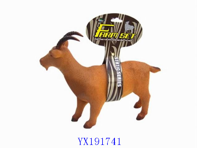 <img src='photo/2010A/YX191741.jpg'width='400' height='300'>