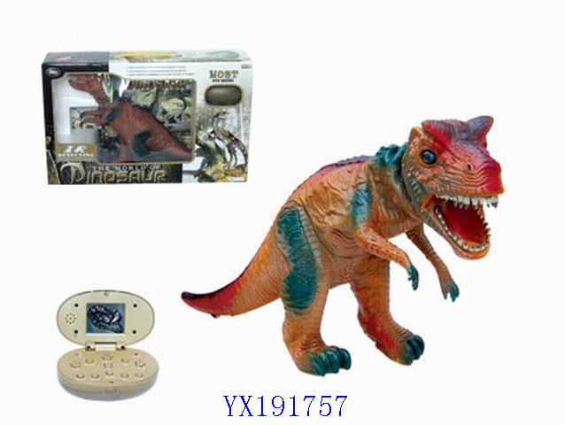 <img src='photo/2010A/YX191757.jpg'width='400' height='300'>
