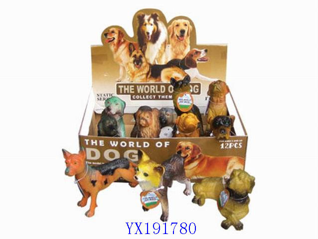 <img src='photo/2010A/YX191780.jpg'width='400' height='300'>
