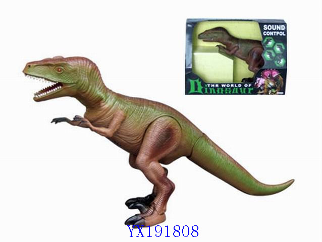 <img src='photo/2010A/YX191808.jpg'width='400' height='300'>