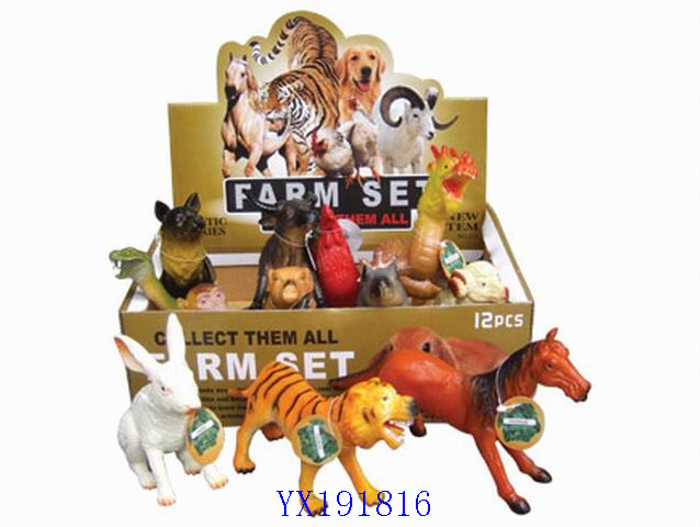 <img src='photo/2010A/YX191816.jpg'width='400' height='300'>