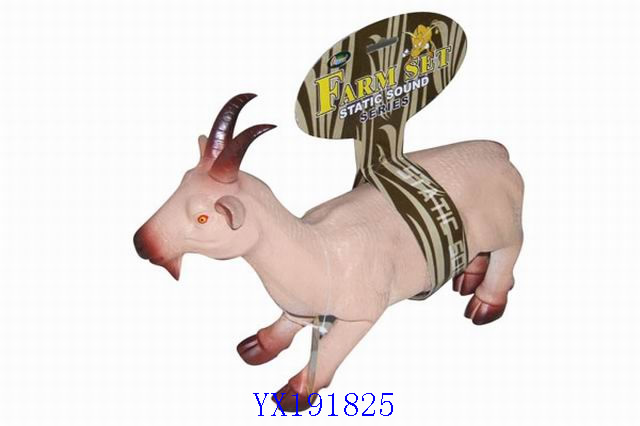 <img src='photo/2010A/YX191825.jpg'width='400' height='300'>