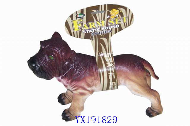 <img src='photo/2010A/YX191829.jpg'width='400' height='300'>