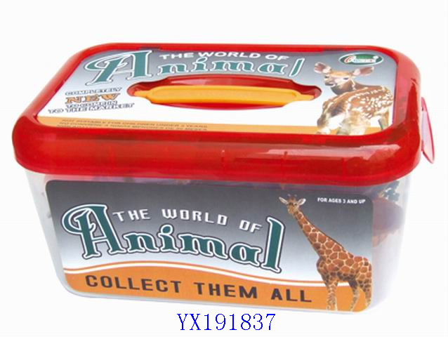 <img src='photo/2010A/YX191837.jpg'width='400' height='300'>