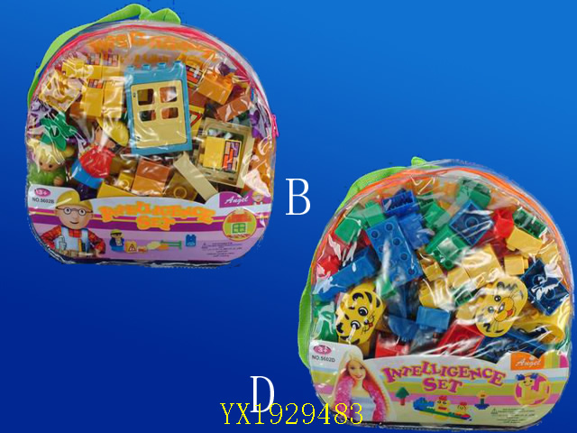 <img src='photo/2010A/YX1929483.jpg'width='400' height='300'>