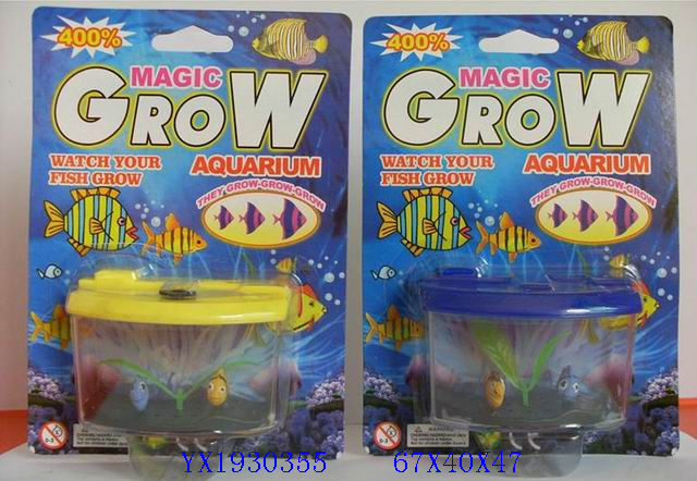<img src='photo/2010A/YX1930355.jpg'width='400' height='300'>
