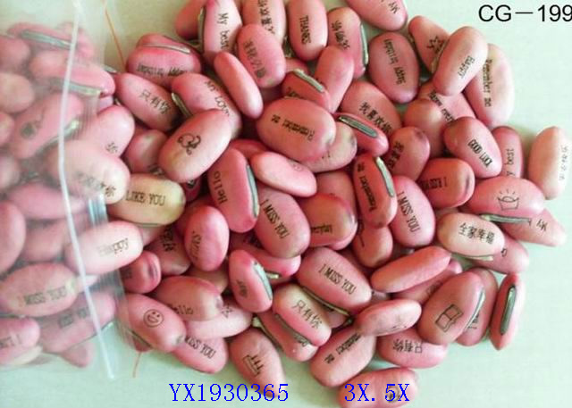 <img src='photo/2010A/YX1930365.jpg'width='400' height='300'>