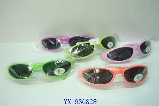 <img src='photo/2010A/YX1930828.JPG'width='400' height='300'>
