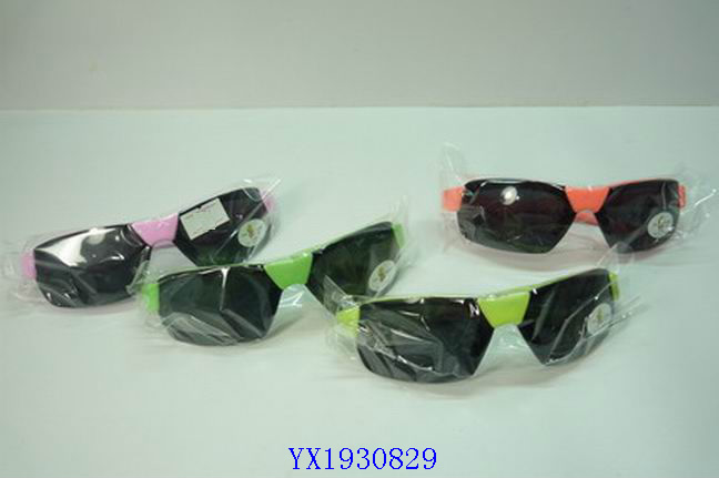 <img src='photo/2010A/YX1930829.JPG'width='400' height='300'>