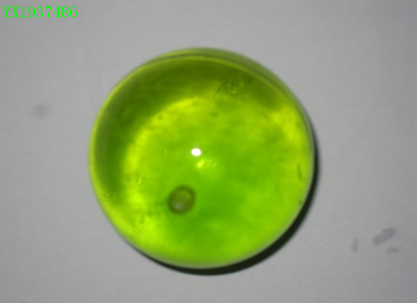 <img src='photo/2010A/YX1937486.jpg'width='400' height='300'>