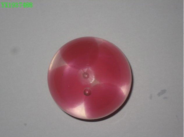 <img src='photo/2010A/YX1937488.jpg'width='400' height='300'>