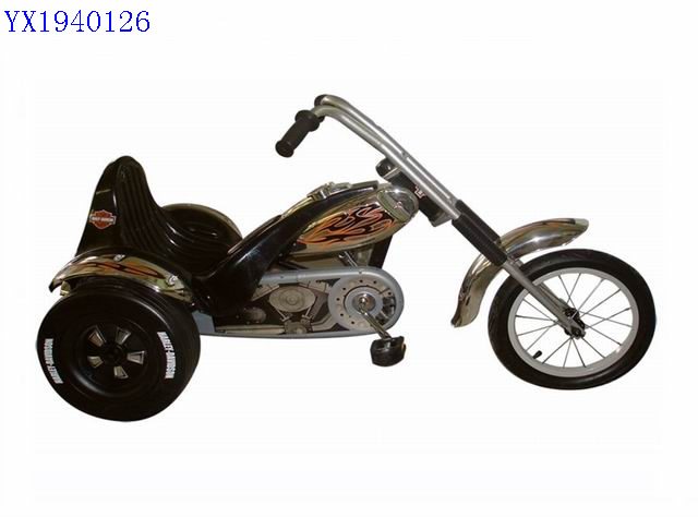 <img src='photo/2010A/YX1940126.jpg'width='400' height='300'>