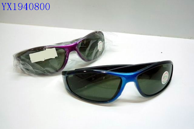 <img src='photo/2010A/YX1940800.JPG'width='400' height='300'>