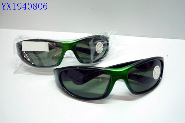 <img src='photo/2010A/YX1940806.JPG'width='400' height='300'>