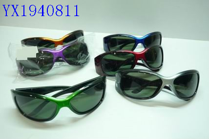 <img src='photo/2010A/YX1940811.JPG'width='400' height='300'>