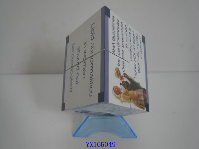 <img src='photo/2010A/yx165049.jpg'width='400' height='300'>