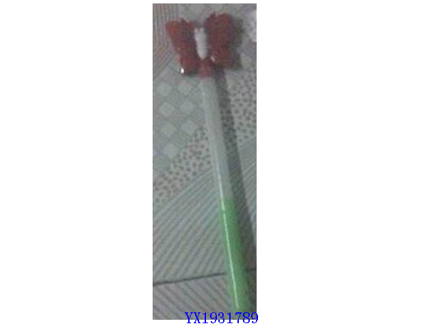 <img src='photo/2010B/YX1931789.jpg'width='400' height='300'>