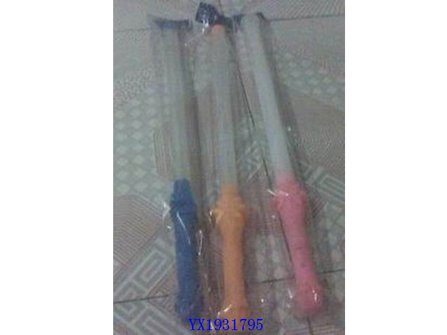 <img src='photo/2010B/YX1931795.jpg'width='400' height='300'>