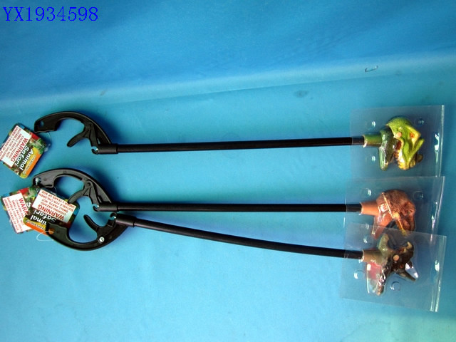 <img src='photo/2010B/YX1934598.jpg'width='400' height='300'>