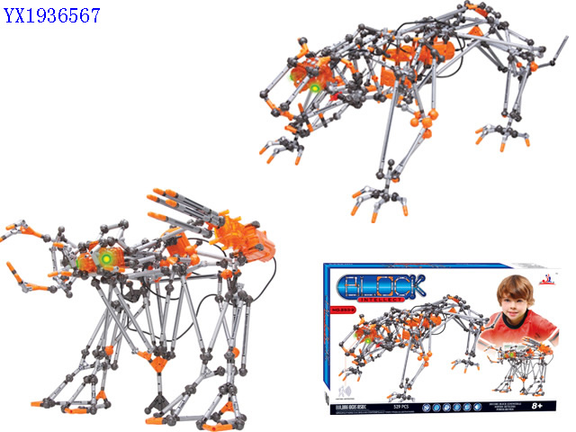 <img src='photo/2010B/YX1936567.jpg'width='400' height='300'>