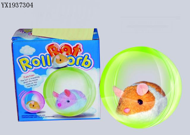 <img src='photo/2010B/YX1937304.JPG'width='400' height='300'>