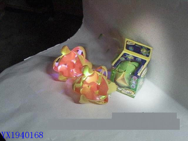 <img src='photo/2010B/YX1940168.jpg'width='400' height='300'>