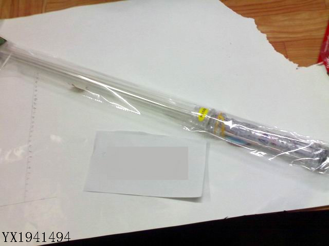 <img src='photo/2010B/YX1941494.jpg'width='400' height='300'>