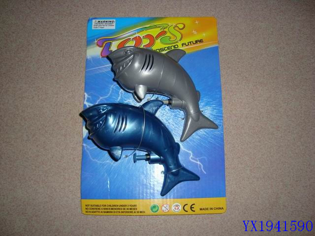 <img src='photo/2010B/YX1941590.JPG'width='400' height='300'>