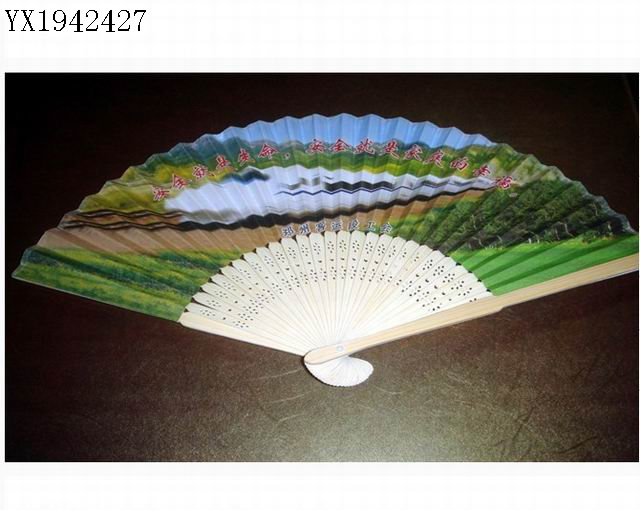 <img src='photo/2010B/YX1942427.jpg'width='400' height='300'>