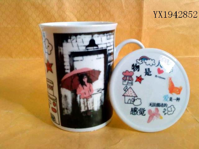 <img src='photo/2010B/YX1942852.JPG'width='400' height='300'>