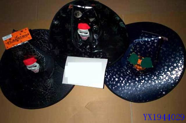 <img src='photo/2010B/YX1944029.jpg'width='400' height='300'>