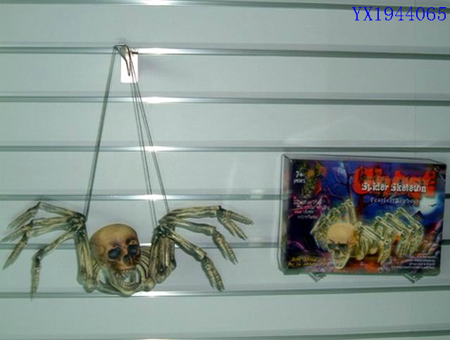 <img src='photo/2010B/YX1944065.jpg'width='400' height='300'>