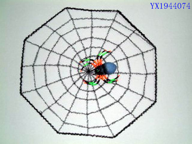 <img src='photo/2010B/YX1944074.jpg'width='400' height='300'>