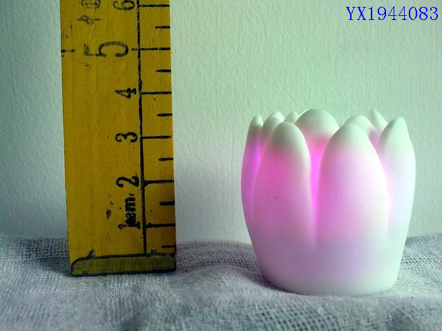 <img src='photo/2010B/YX1944083.jpg'width='400' height='300'>