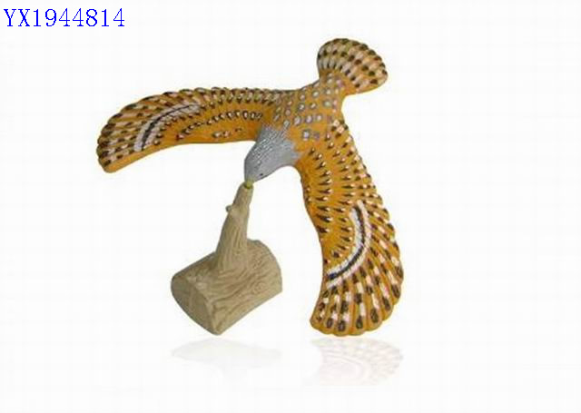 <img src='photo/2010B/YX1944814.jpg'width='400' height='300'>