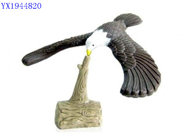 <img src='photo/2010B/YX1944820.jpg'width='400' height='300'>