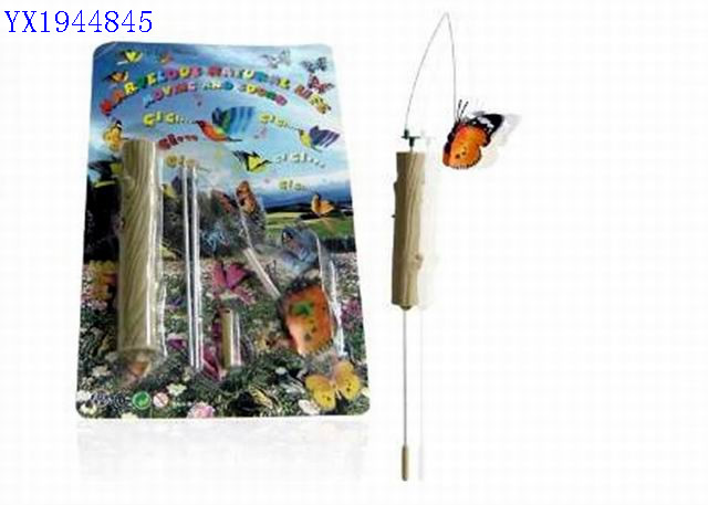 <img src='photo/2010B/YX1944845.jpg'width='400' height='300'>