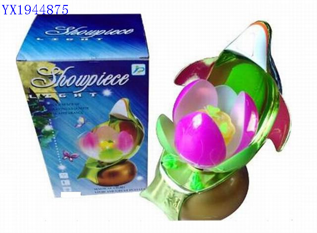 <img src='photo/2010B/YX1944875.jpg'width='400' height='300'>